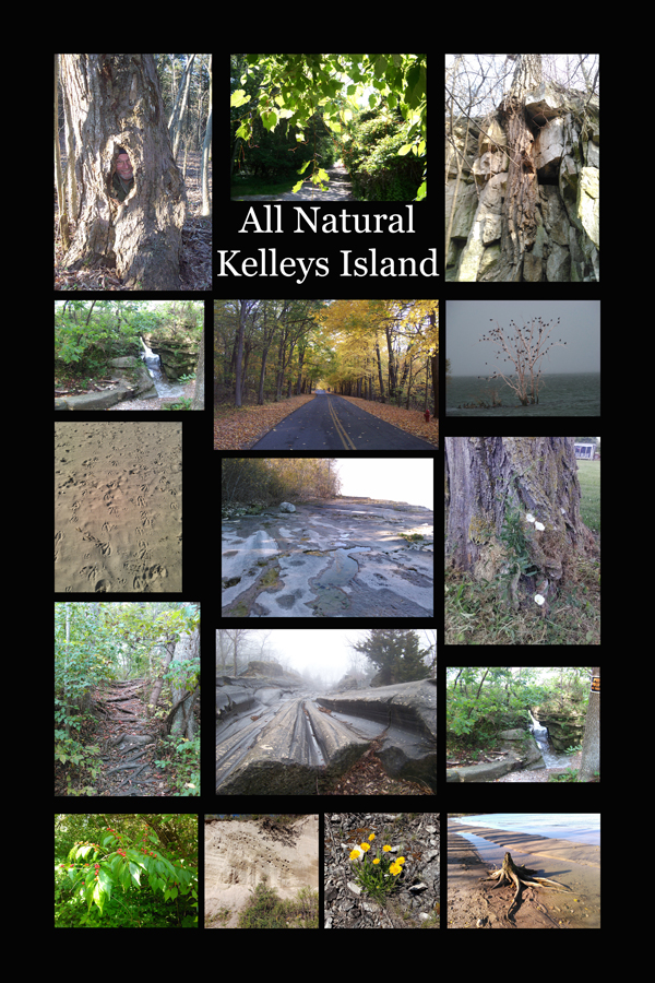 All Natural Kelleys Island Poster With Nature Sightings